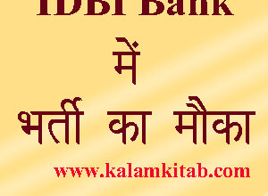 idbi bank job